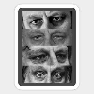 Žižek Eyes Sticker